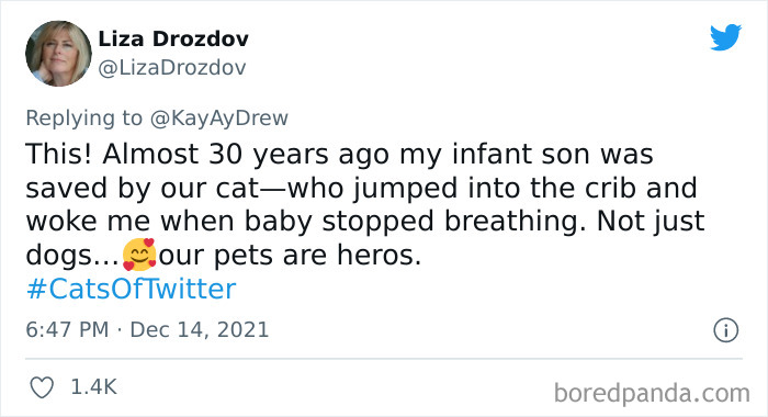 Dog-Saves-Baby-Not-Breathing