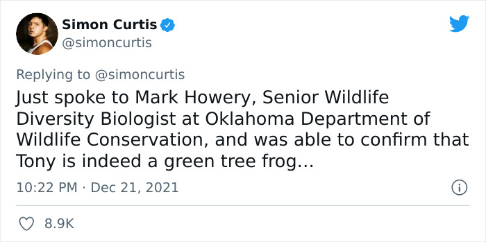 Guy Tweets Story Of How He Adopted A Tree Frog He Found In His Romaine Lettuce Container