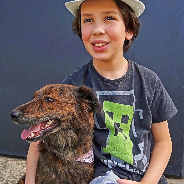 11-Year-Old Brazilian Boy Bathes Stray Dogs On Saturdays To Increase Their Chance At Being Adopted