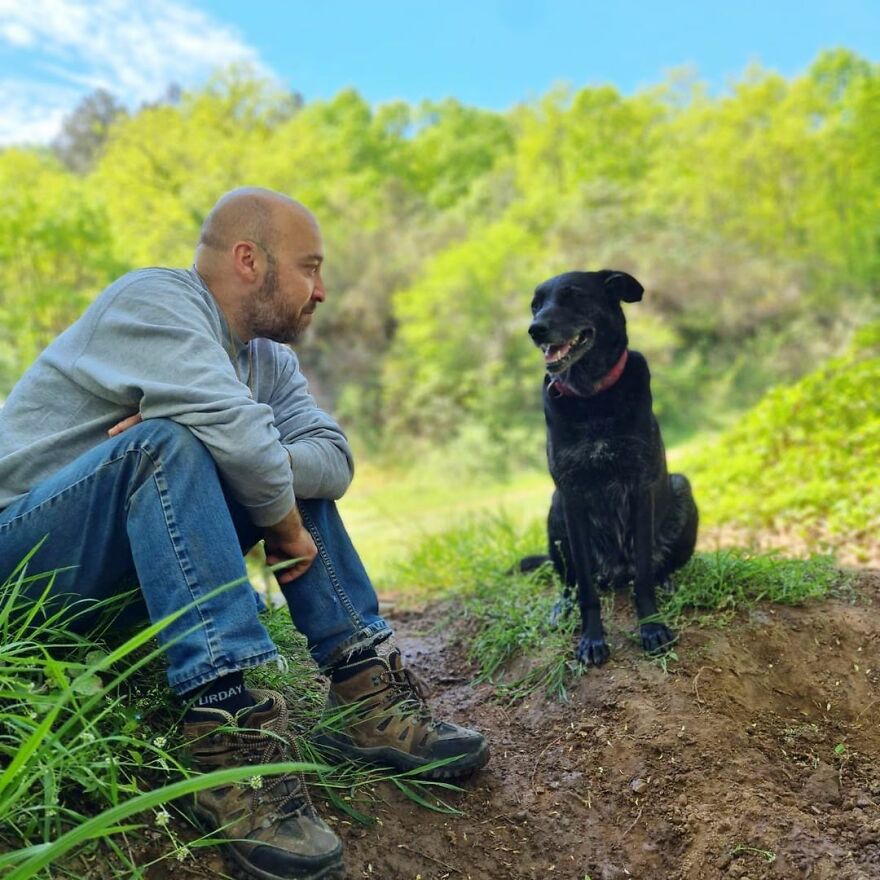 This Man Turned His Farm Into An Animal Shelter That Not Only Has Dogs And Cats But Also Other Animals Such As Horses, Seagulls And Others This Man Turned His Farm Into An Animal Shelter That Not Only Has Dogs And Cats But Also Other Animals Such As Horses, Seagulls And Others