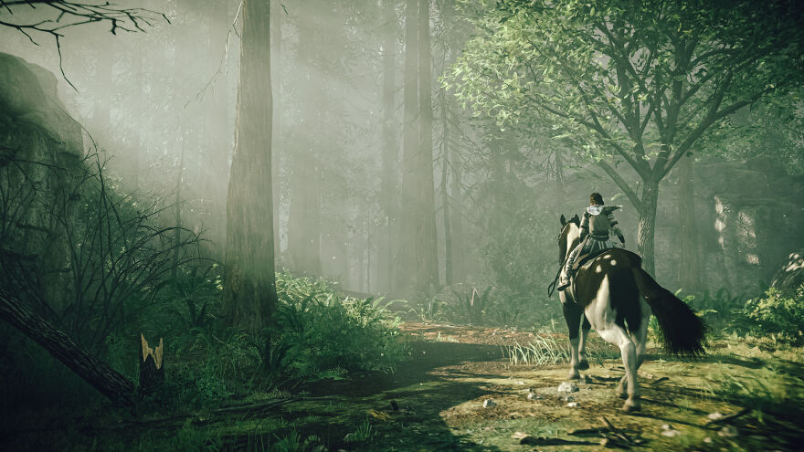 Professional Photographer With Time On His Hands At The Corona Disaster Captures In-Game Photography Of "Shadow Of The Colossus" Seriously.