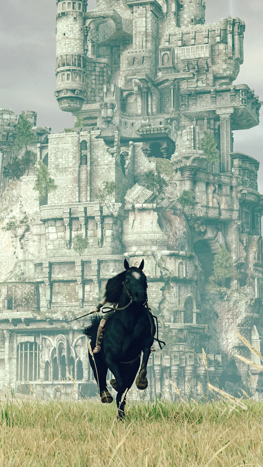 Professional Photographer With Time On His Hands At The Corona Disaster Captures In-Game Photography Of "Shadow Of The Colossus" Seriously.