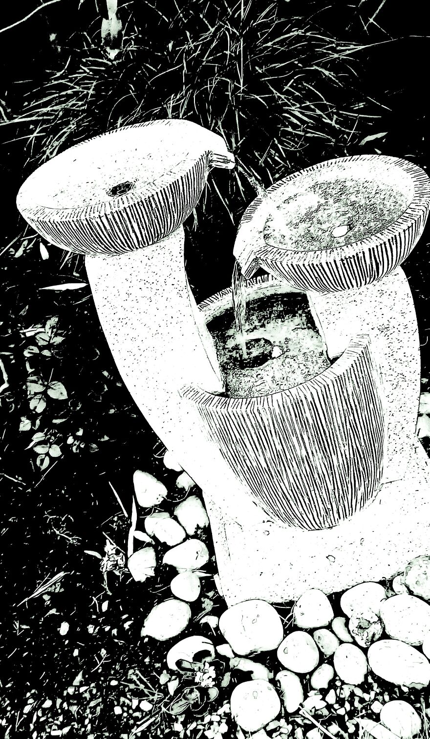 I Took Pictures Of My Friend's Garden. I Edited Them And Was Able To Make 5 Of My Friends Think I Drew Them.