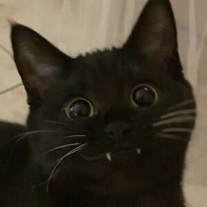 kristinmarie513 avatar