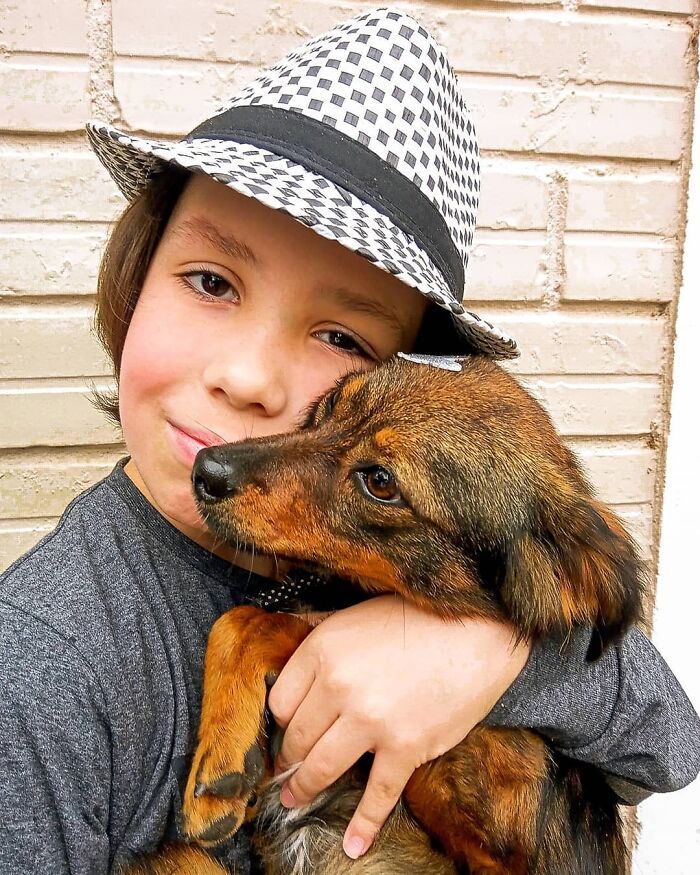 11-Year-Old Brazilian Boy Bathes Stray Dogs On Saturdays To Increase Their Chance At Being Adopted 11-Year-Old Brazilian Boy Bathes Stray Dogs On Saturdays To Increase Their Chance At Being Adopted