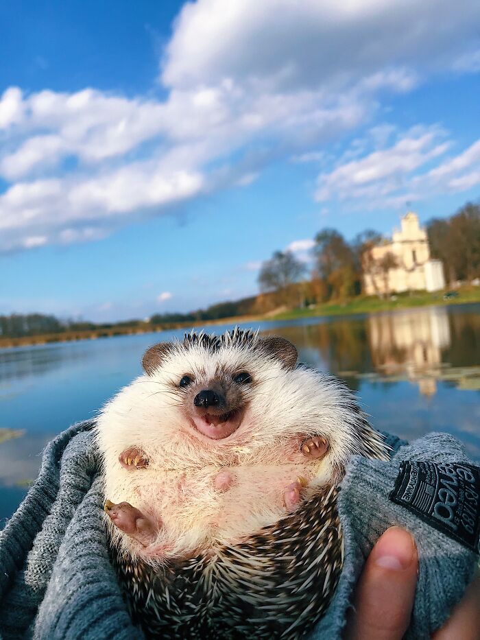 Happiness Is Enjoying The Little Things In Life