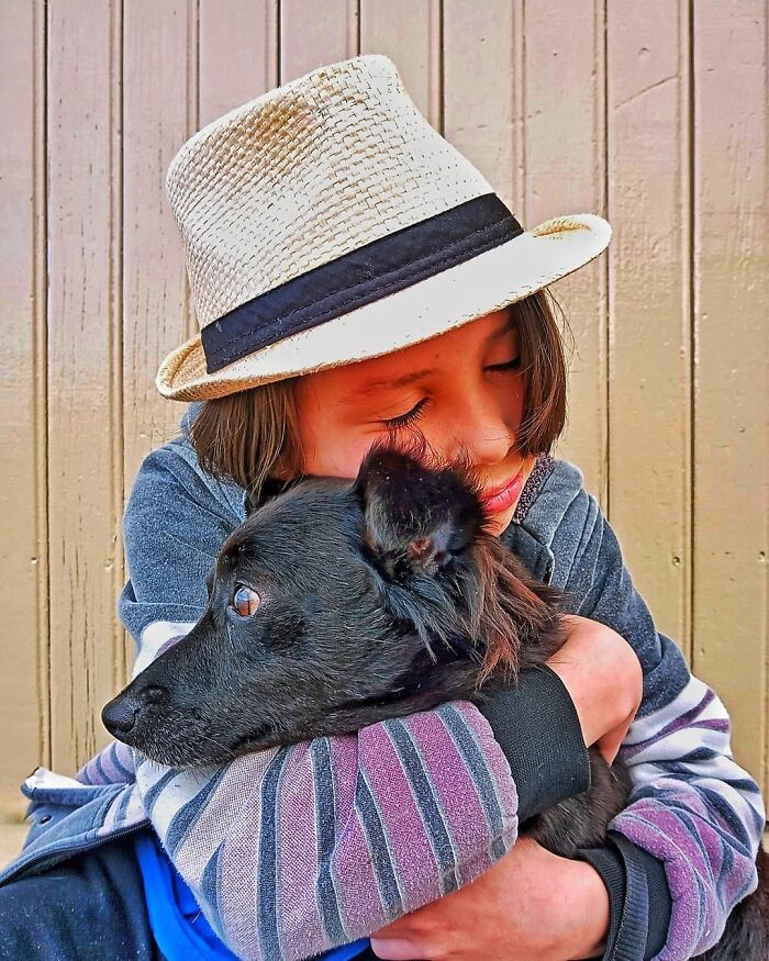 11-Year-Old Brazilian Boy Bathes Stray Dogs On Saturdays To Increase Their Chance At Being Adopted 11-Year-Old Brazilian Boy Bathes Stray Dogs On Saturdays To Increase Their Chance At Being Adopted