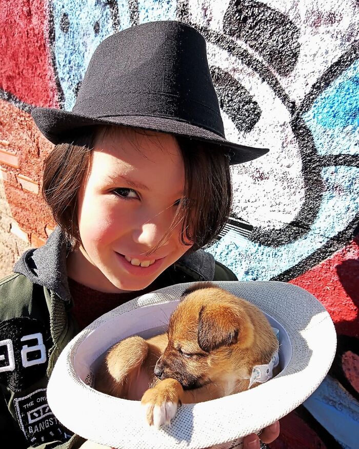 11-Year-Old Brazilian Boy Bathes Stray Dogs On Saturdays To Increase Their Chance At Being Adopted 11-Year-Old Brazilian Boy Bathes Stray Dogs On Saturdays To Increase Their Chance At Being Adopted