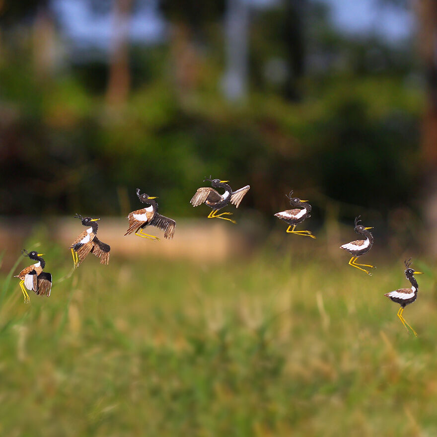 I Created Miniature Paper Cut Artworks Every Day For 1000 Days To Create Awareness About Wildlife I Created Miniature Paper Cut Artworks Every Day For 1000 Days To Create Awareness About Wildlife