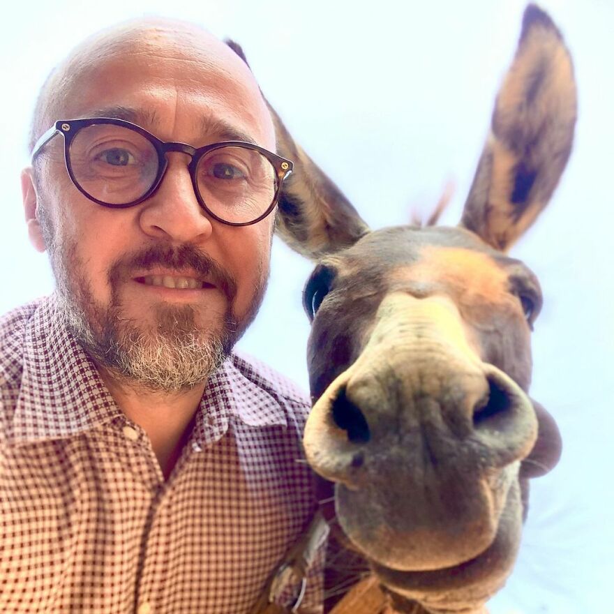 This Man Turned His Farm Into An Animal Shelter That Not Only Has Dogs And Cats But Also Other Animals Such As Horses, Seagulls And Others This Man Turned His Farm Into An Animal Shelter That Not Only Has Dogs And Cats But Also Other Animals Such As Horses, Seagulls And Others