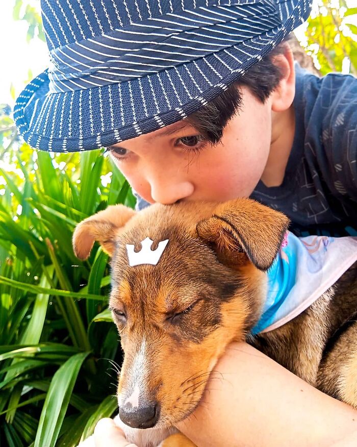 11-Year-Old Brazilian Boy Bathes Stray Dogs On Saturdays To Increase Their Chance At Being Adopted 11-Year-Old Brazilian Boy Bathes Stray Dogs On Saturdays To Increase Their Chance At Being Adopted