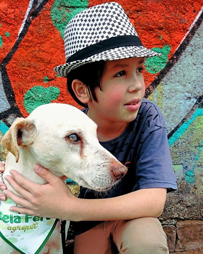 11-Year-Old Brazilian Boy Bathes Stray Dogs On Saturdays To Increase Their Chance At Being Adopted