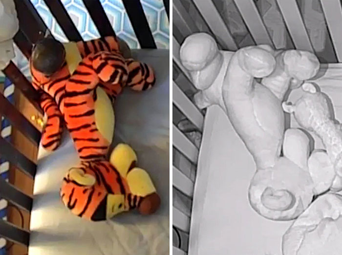 My Daughter's Tigger Has Distinct Bright And Dark Stripes In Normal Light, But Is Entirely Pale White In Night Vision