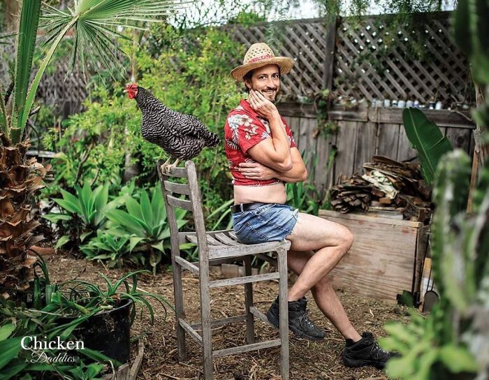 This 'Chicken Daddies' Calendar Will Make Your Day (25 Pics)