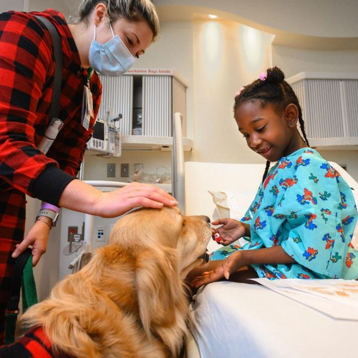 These Dogs Brought A Lot Of Joy To Ill Children That Had To Spend Christmas In A Hospital These Dogs Brought A Lot Of Joy To Ill Children That Had To Spend Christmas In A Hospital