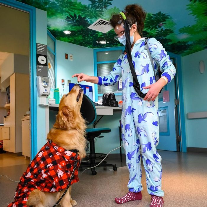 These Dogs Brought A Lot Of Joy To Ill Children That Had To Spend Christmas In A Hospital These Dogs Brought A Lot Of Joy To Ill Children That Had To Spend Christmas In A Hospital
