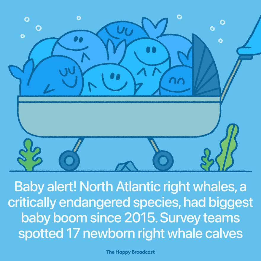 I’m Honestly Fed Up With All The Bad News So I Illustrated The Best News Of 2021