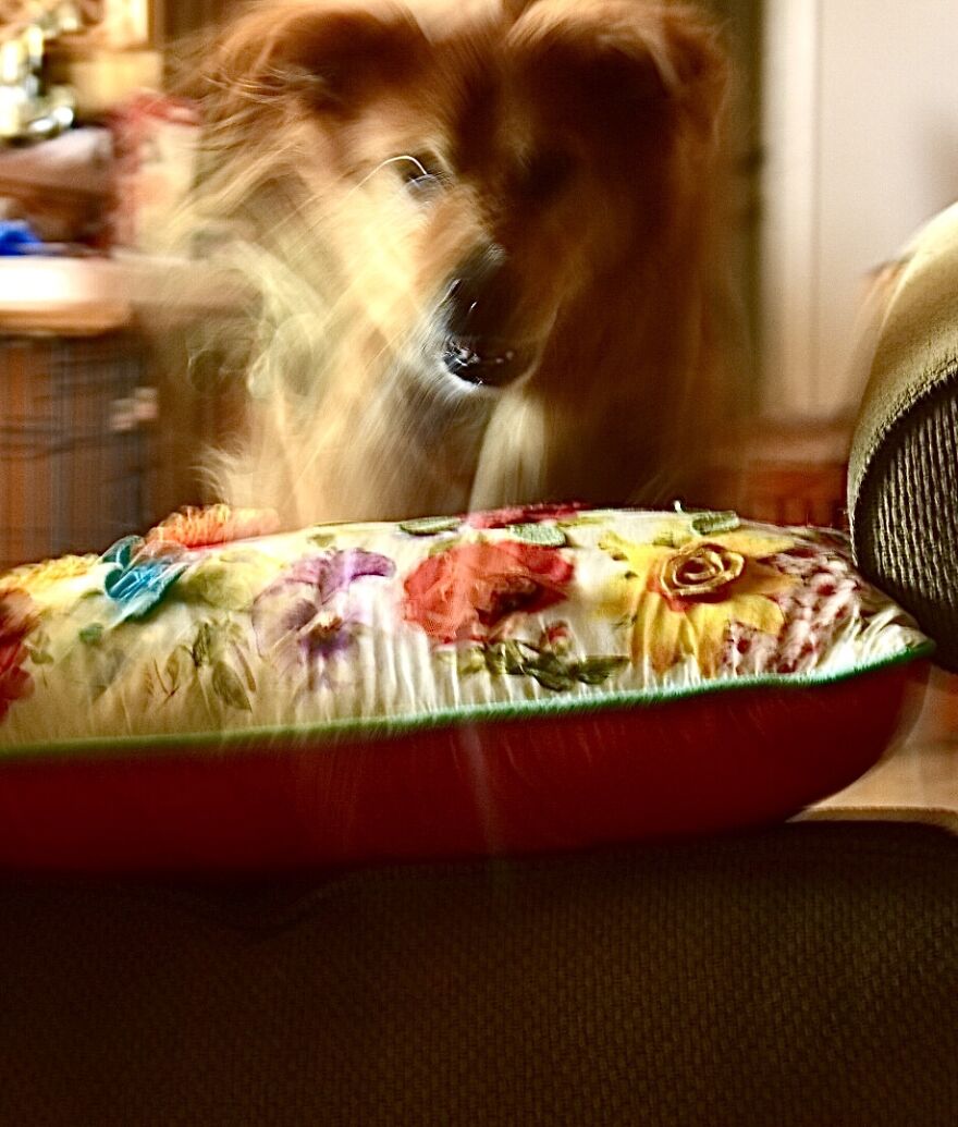 I Took These Photos, And I’m Very Proud Of Them!