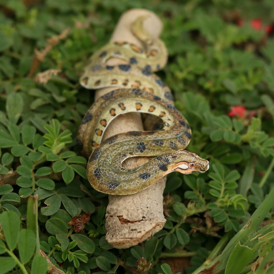 I Created Miniature Paper Cut Artworks Every Day For 1000 Days To Create Awareness About Wildlife I Created Miniature Paper Cut Artworks Every Day For 1000 Days To Create Awareness About Wildlife