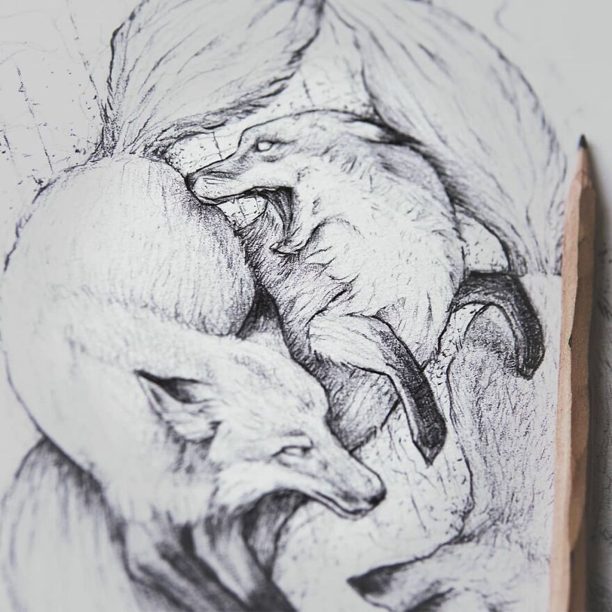 I Draw Stylized Animals In My Sketchbook