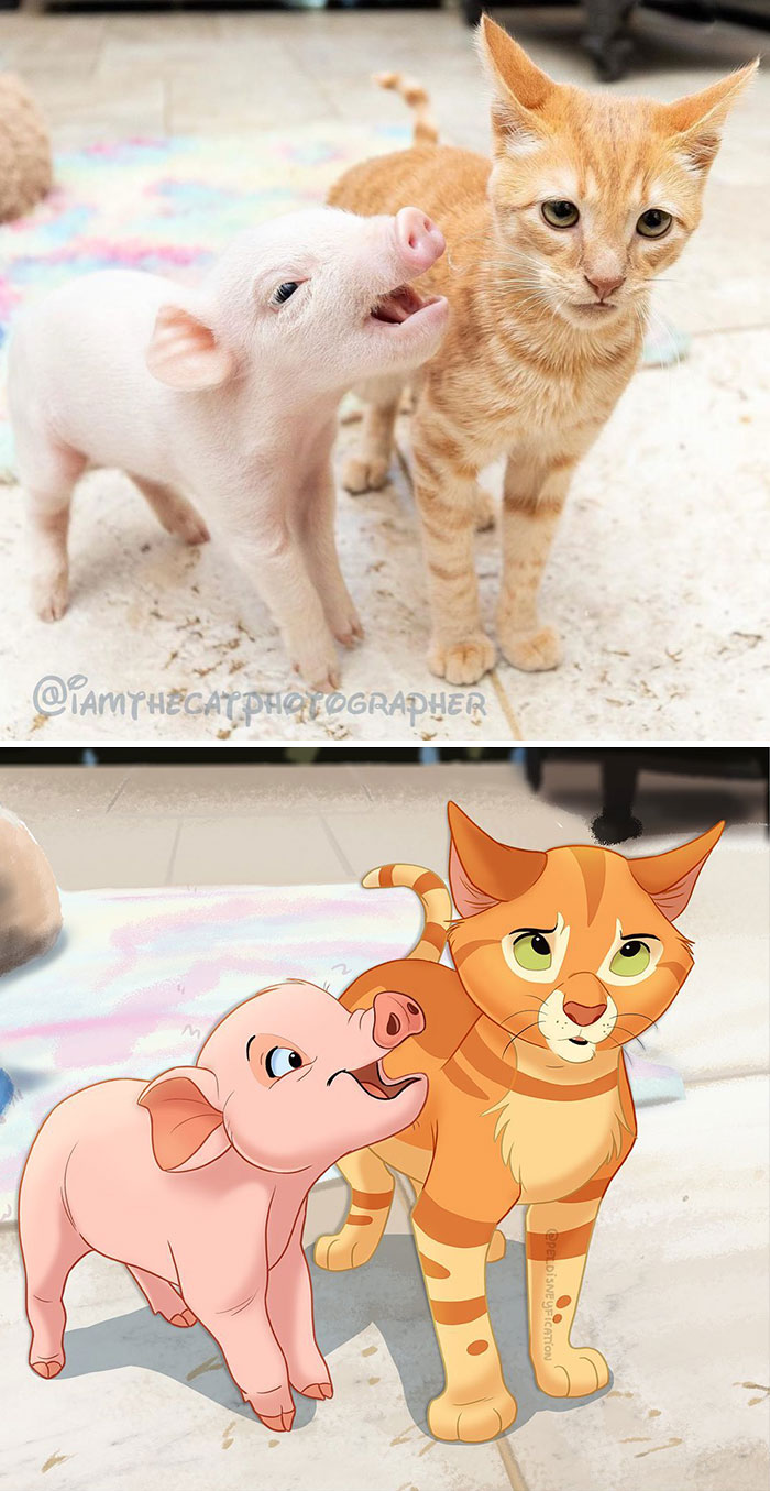 Are You The Pig Or The Cat In Your Friend Group?