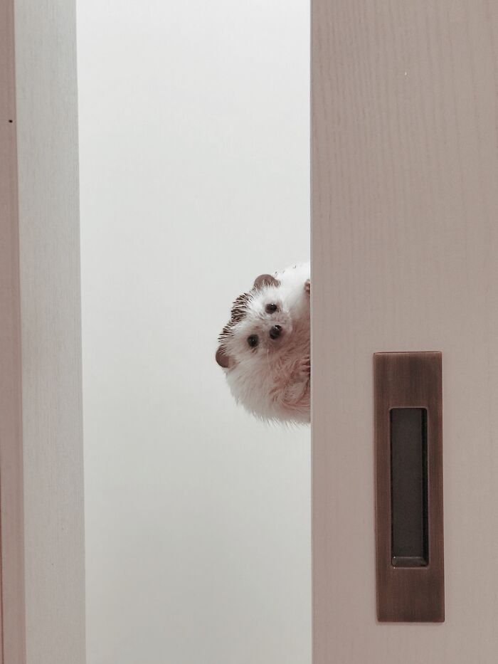 Friday? Is That You?