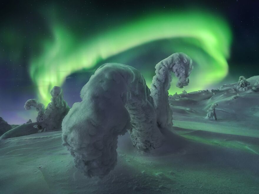 “Polar-Snow Monsters” By Sergey Korolev