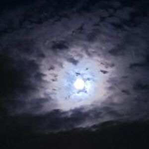 brunningjessie avatar