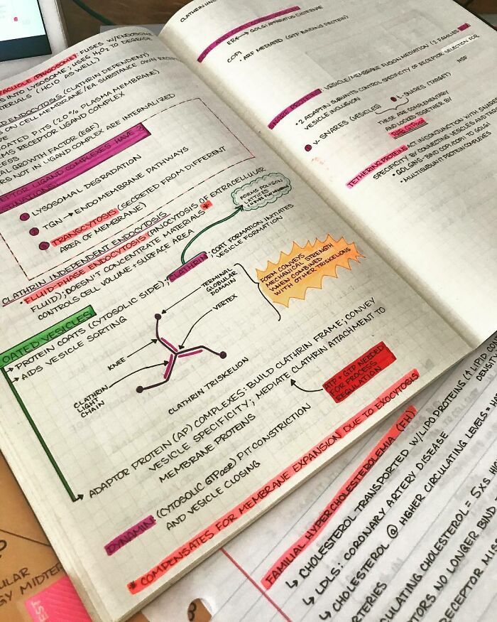My Friend's Notes