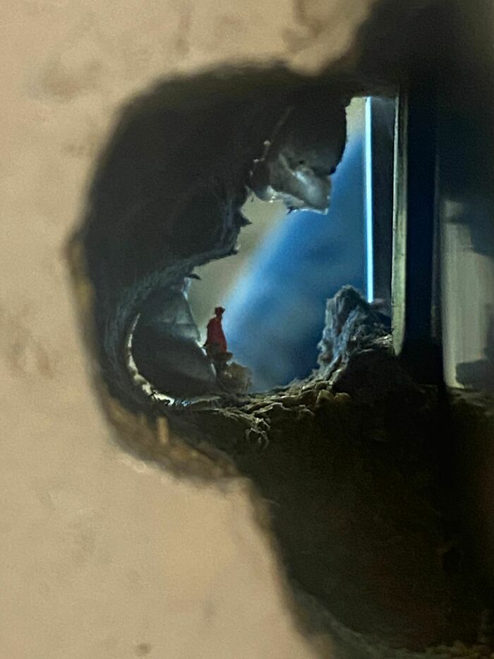 A Hole On A Door At My Work Looks Like Something Out Of A Movie (Not Edited At All)