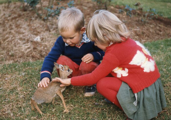 My Sister And I With A Friend's Pet Dik-Dik, 1968