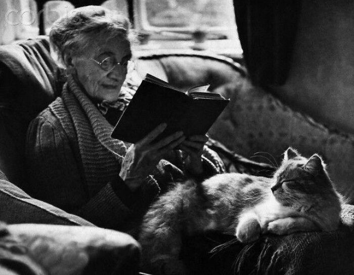 An Elderly Woman Reading A Book With A Cat On Her Lap, 1944