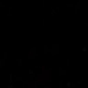 jaelynnfulbright avatar