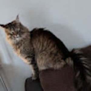 mikeandandreasloat avatar