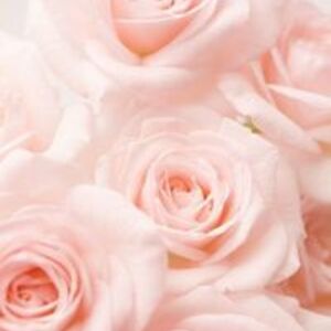 elizabeth_elrod avatar