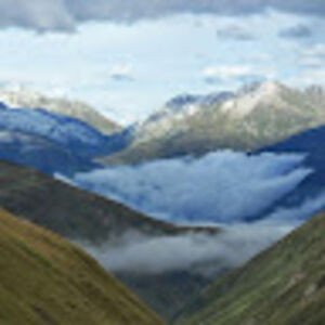 professionalamateur avatar