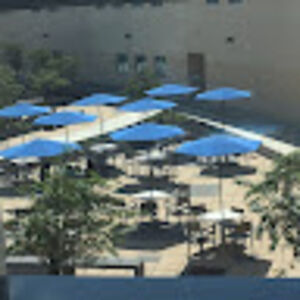 prosophinapromise avatar