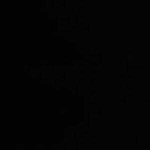 janet_lamothe avatar