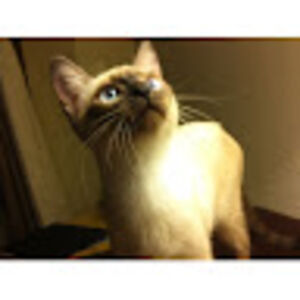 chrisrandall_1 avatar