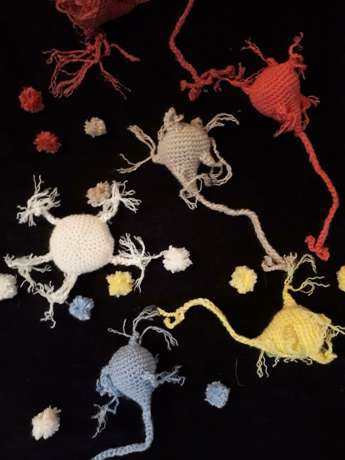 I Crocheted Microglia And Neurons For The Cover Page Of My Thesis, Which I Defended Today
