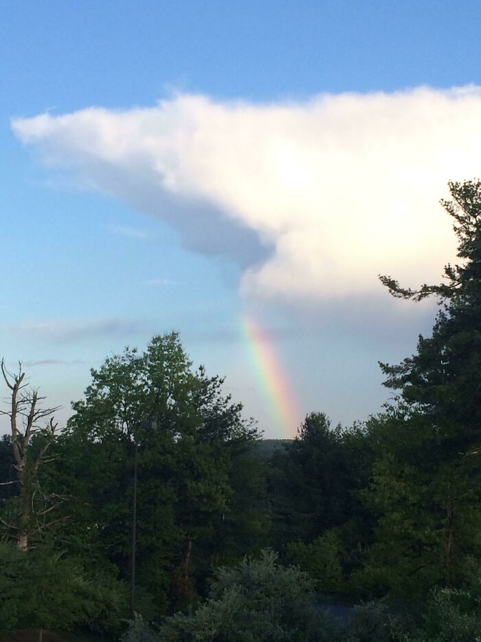 Cloud Shark Drooling A Rainbow