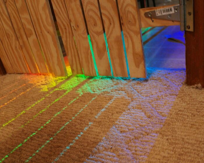For The Past Week Or So The Sun Has Refracted Through My Fish Tank To Create A Beautiful Rainbow On The Floor