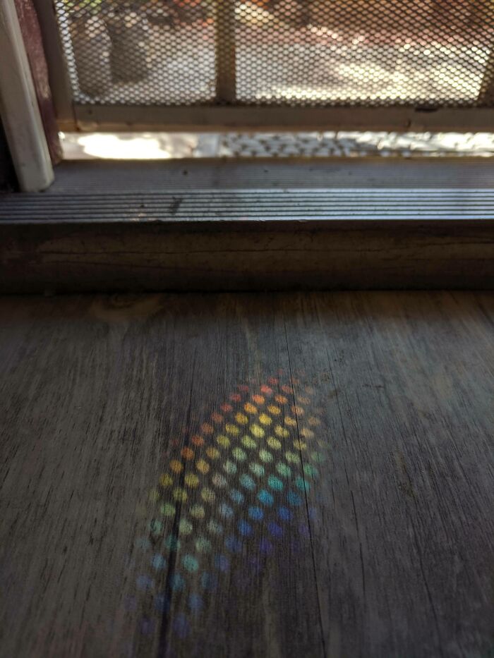 The Screen Door Made The Refracted Light Into Dots Of Color