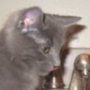 benjaminbrown_1 avatar