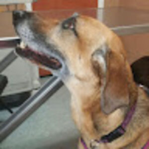 jenniferpinta avatar