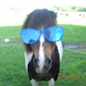 keepalowprofile avatar