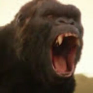 silasbillerbeck avatar