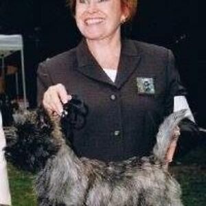 cairnlochkennels avatar