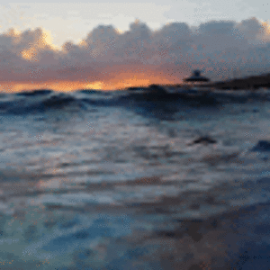 claudiacampbell avatar