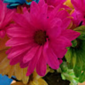 buttercupbspoknik avatar